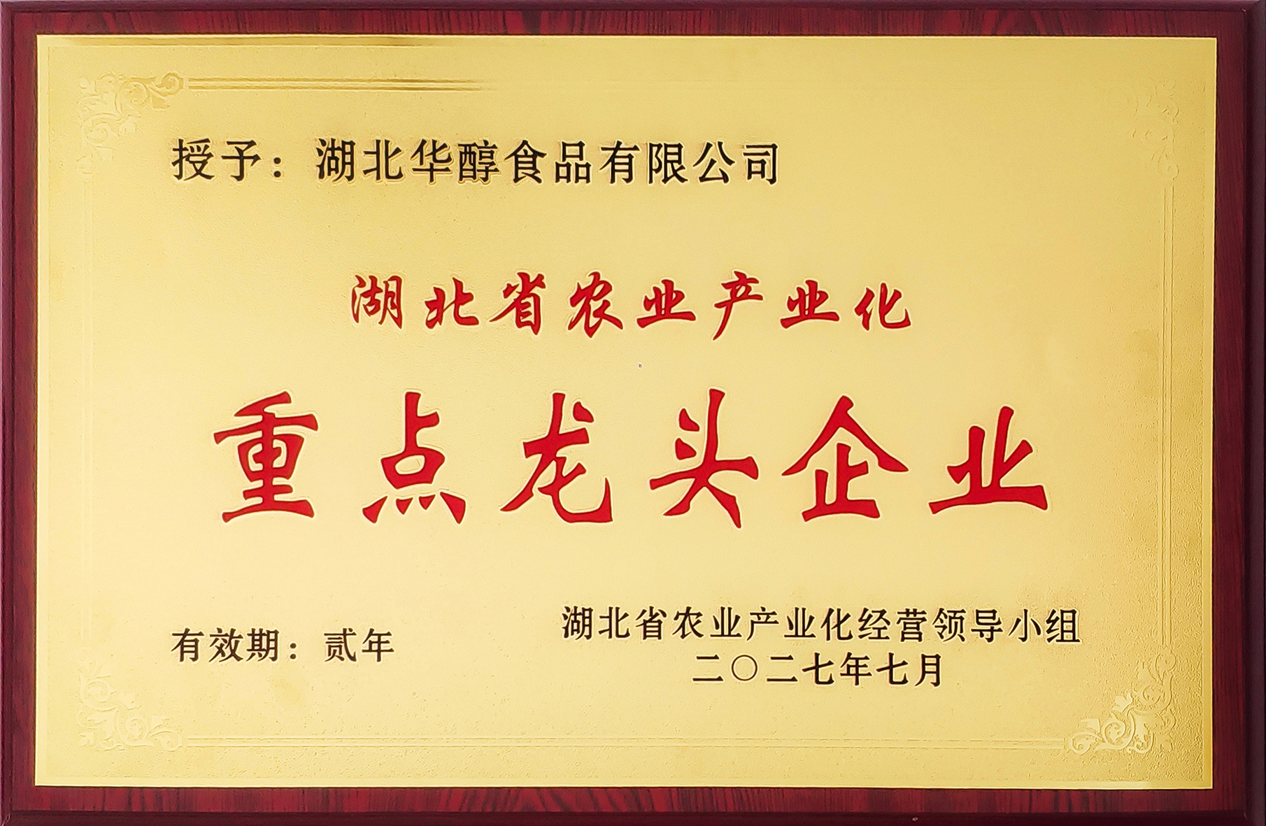 龍頭企業(yè)